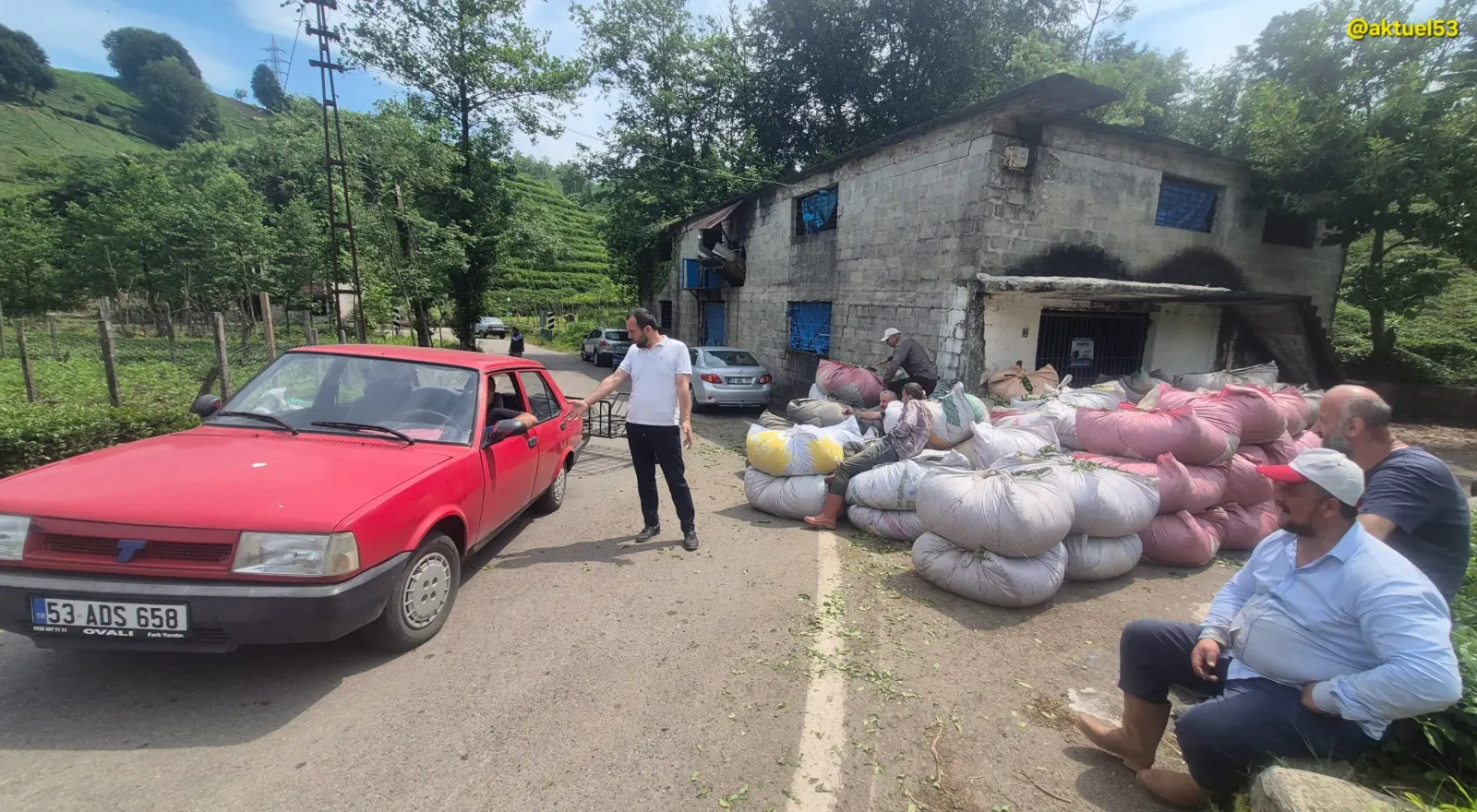 Yaş Çay Üreticisinden Talep Çay Üreticilerinden ÇAYKUR’a: “1 Eylül’de Tüm