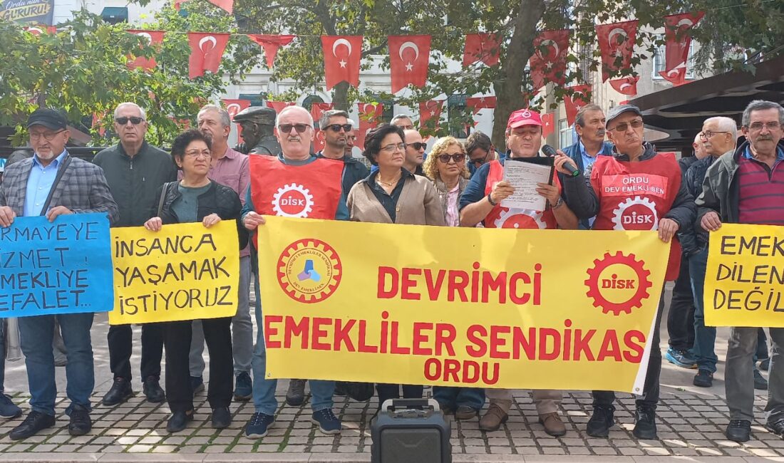 DEV EMEKLİ SEN, “EMEĞİMİZİ, ONURUMUZU ÇALDIRMAYACAĞIZ!” HABER:COŞKUN ÖZBUCAK Devrimci Emekli